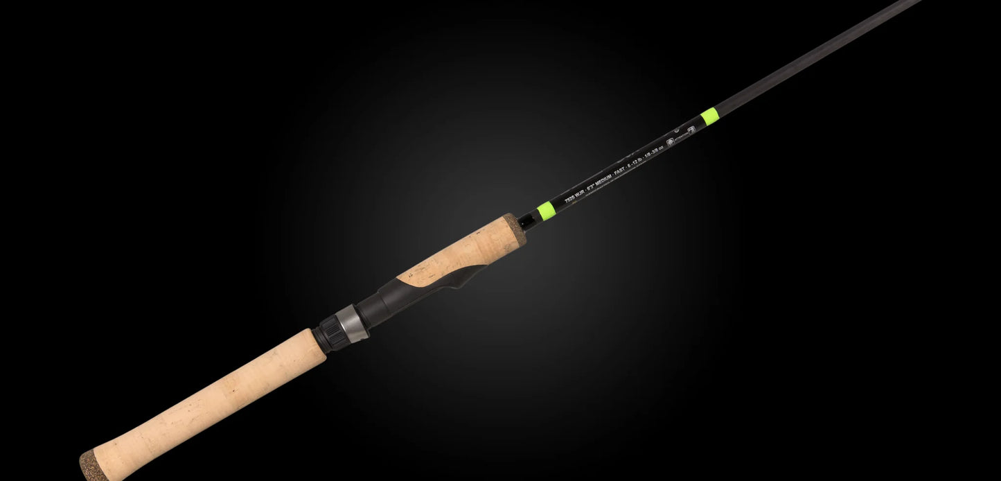 E6X WALLEYE WJR