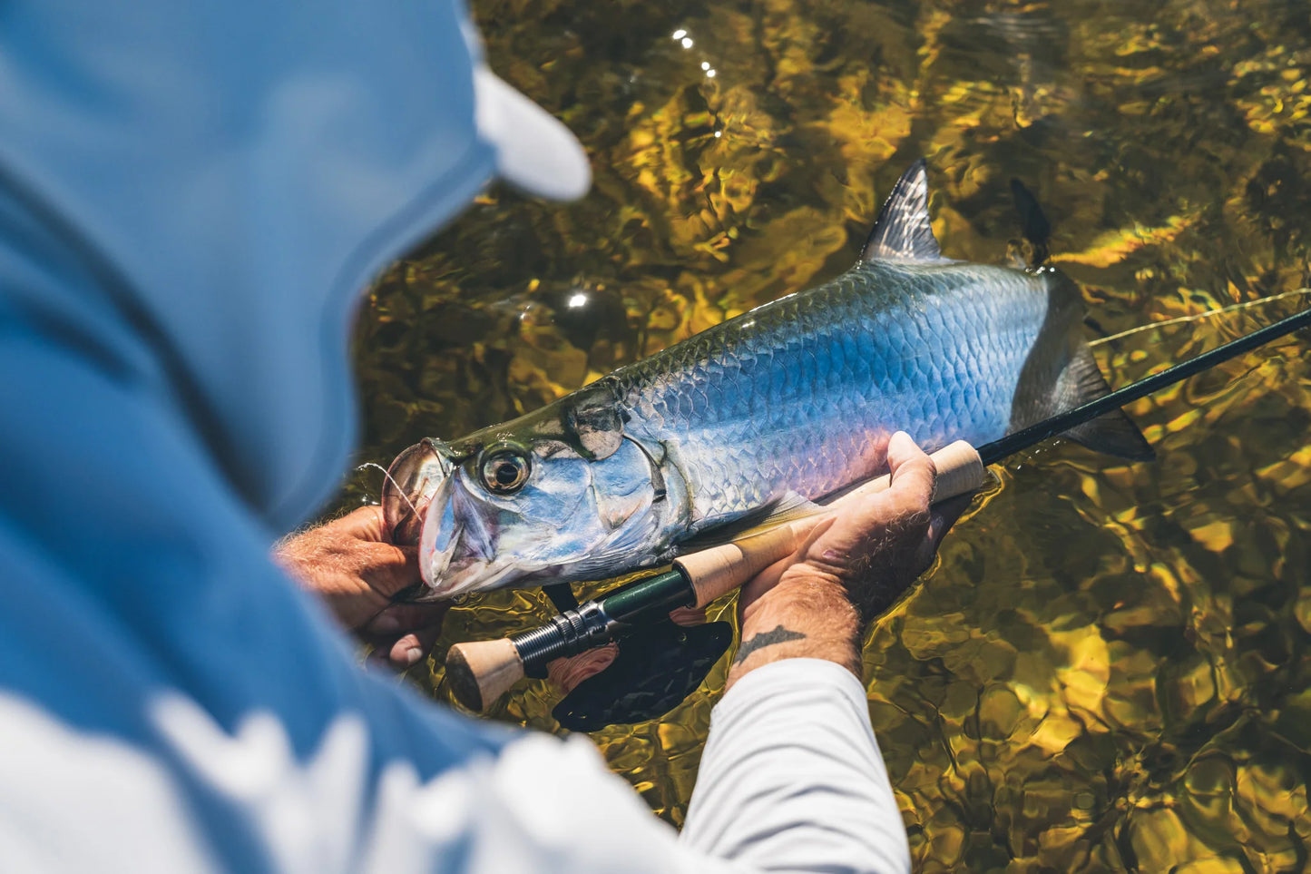 ASQUITH SALTWATER