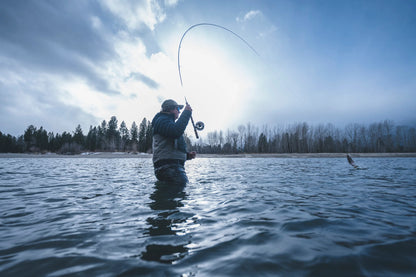 IMX-PRO V2 SHORTSPEY