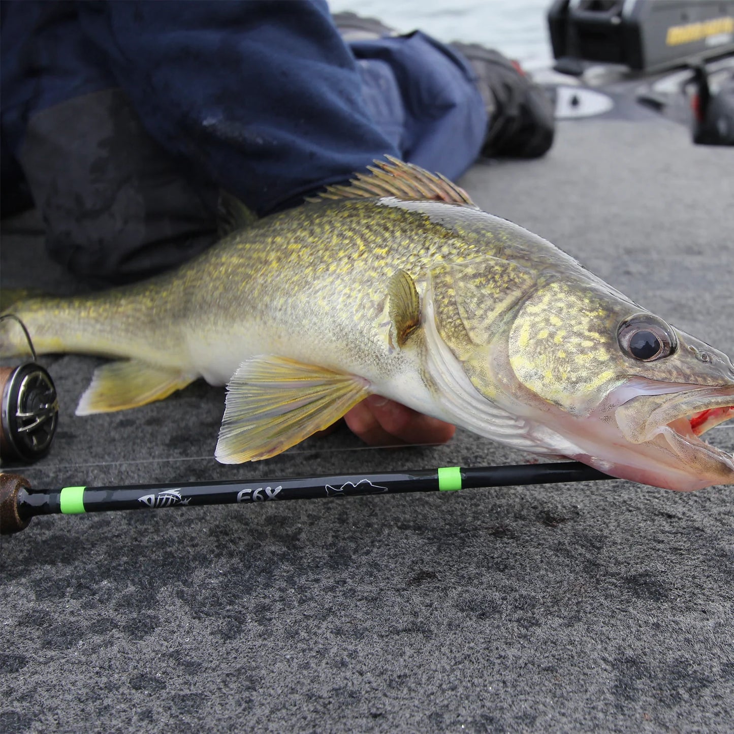 E6X WALLEYE WJR