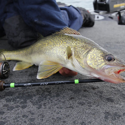 E6X WALLEYE WJR