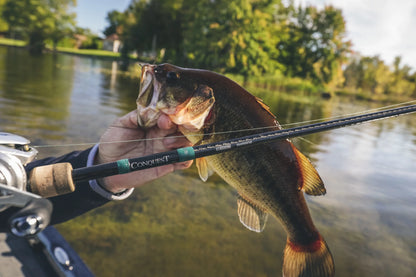 CONQUEST MAG BASS