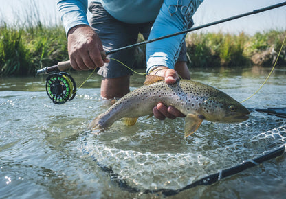 ASQUITH FRESHWATER