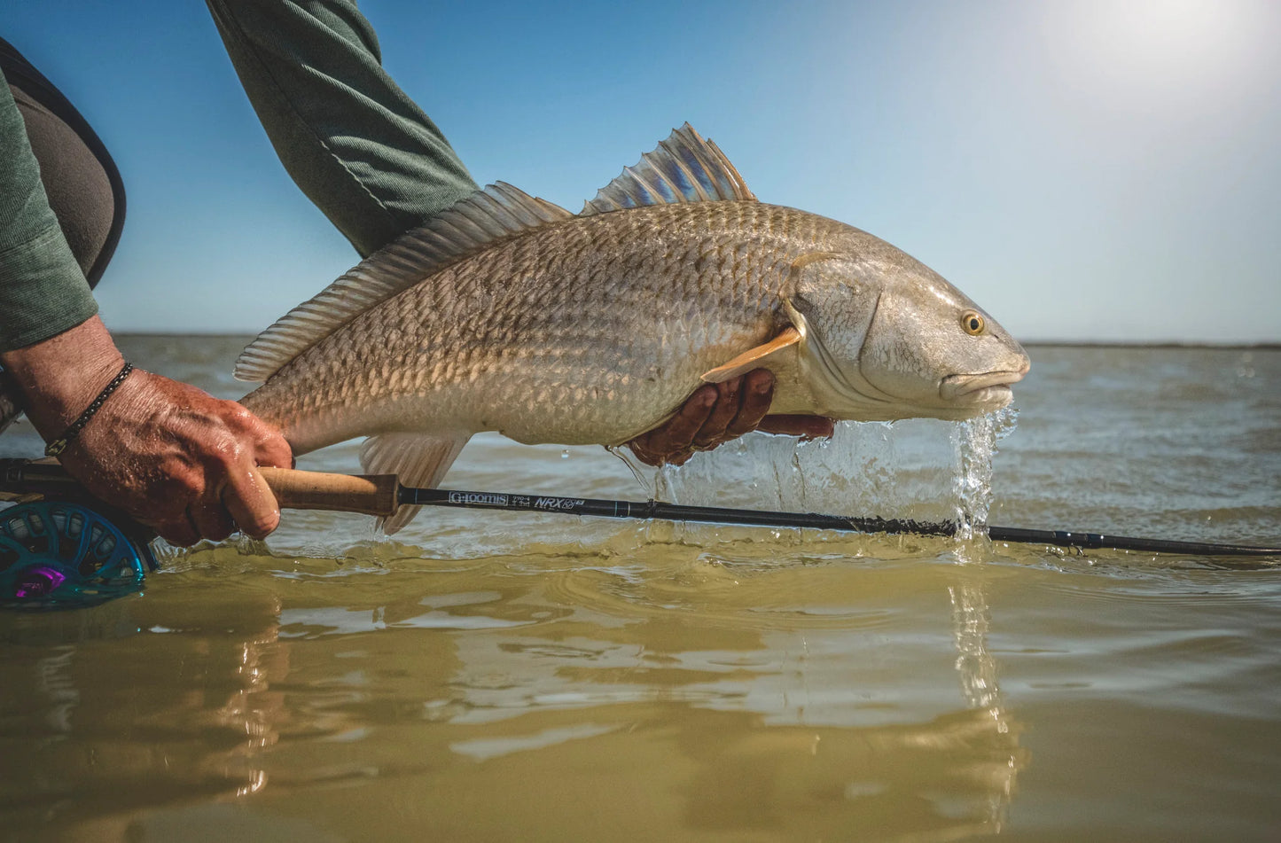 NRX+ FLY SALTWATER